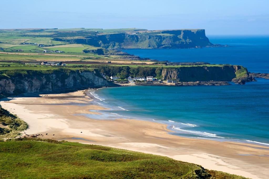 Crayfish 2025 Now Portrush
