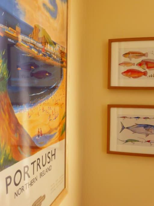 Crayfish 2025 Now Holiday home
