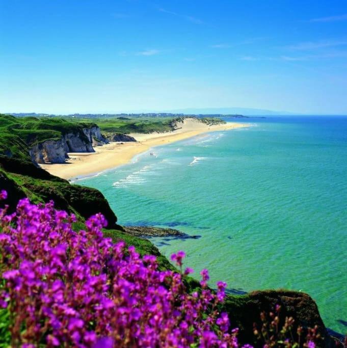 Crayfish 2025 Now Holiday home Portrush